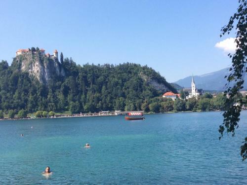 Apartment Alpine Lake