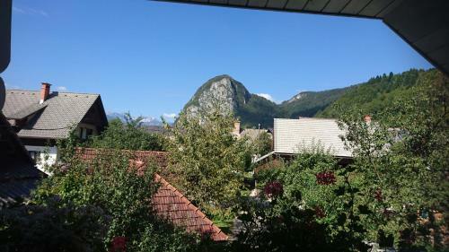 Apartmaji Marinka Hodnik