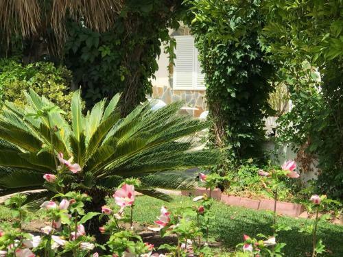 Bed & Breakfast Cortijo Andaluz