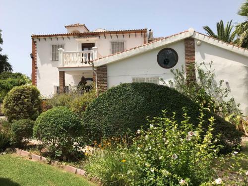 Bed & Breakfast Cortijo Andaluz