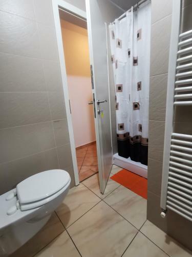 Apartments Violeta