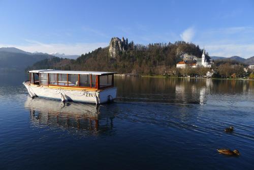Bed & Breakfast Alparti Mini Hotel
