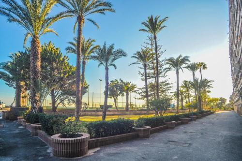 Apartamento Rocafel (playa Albufera)
