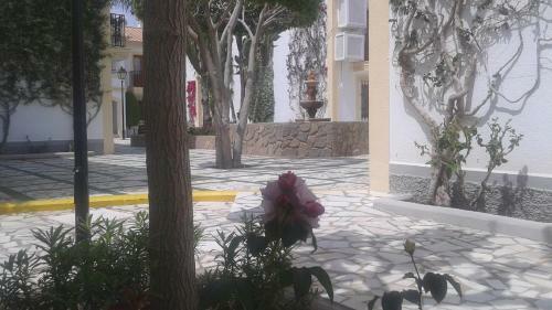 Apartamentos Vera Coast