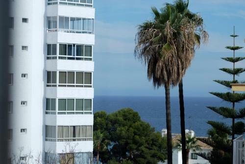 Apartamentos Don Daniel