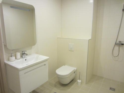 Apartamento Aisa 39
