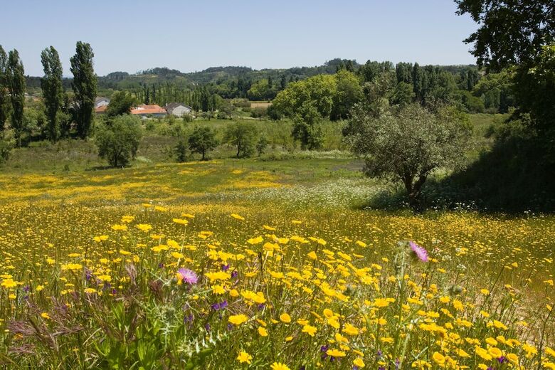 Hotel Quinta Da Alcaidaria-m�r