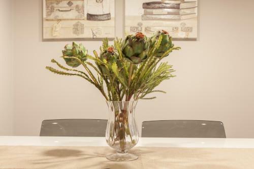 Nova Compostela Apartments