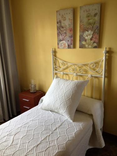 Apartamentos Acevedo Centro