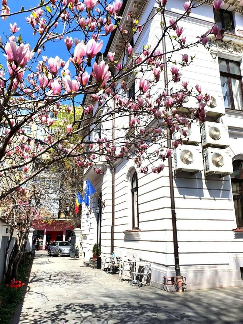Hotel Amzei