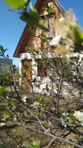 Posada Caba�as Los Ciruelos