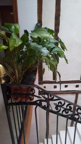 Hostal Martin