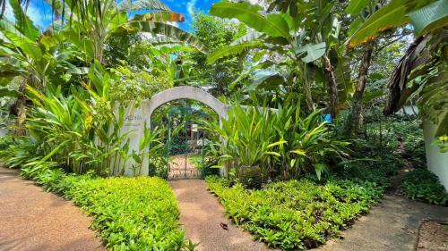 Hotel Coco Grove Beach Resort, Siquijor Island