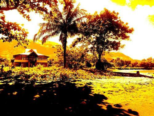 Guerrera Rice Paddy Villas