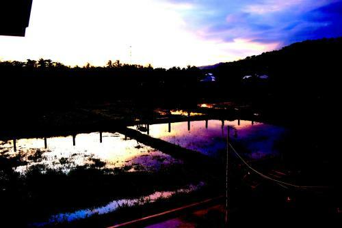 Guerrera Rice Paddy Villas