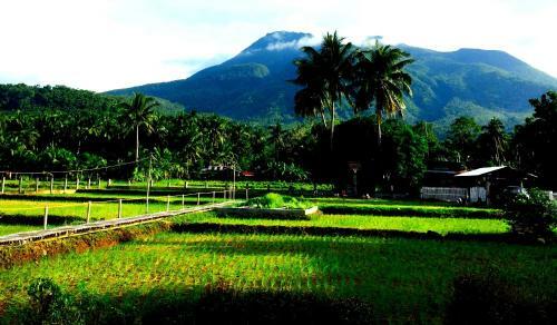 Guerrera Rice Paddy Villas