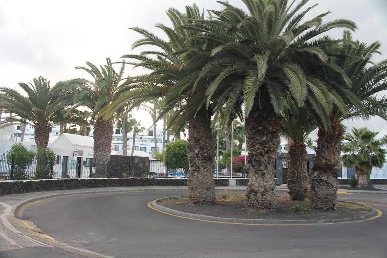 Apartamento Mar Azul Playa