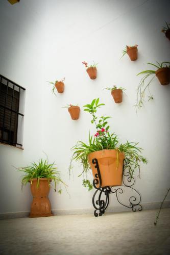 Hostal Malia