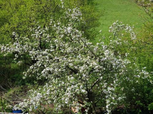 Visoko Homestay