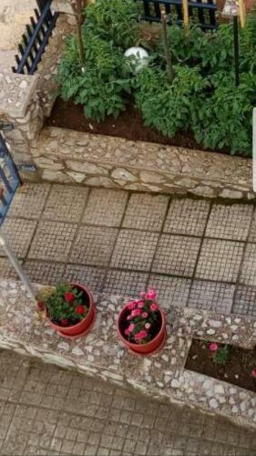 Visoko Homestay