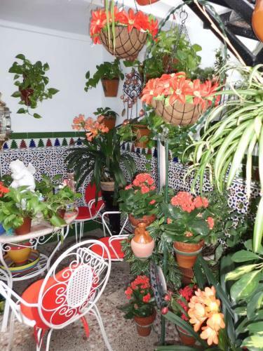 Hostal Pensi�n Agustina