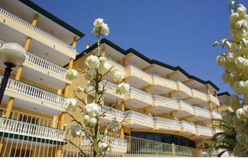 Apartamentos Satse Monc�far