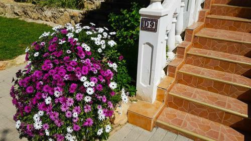 Apartamento Playa Levante