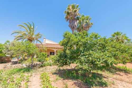 Villa Eulalia