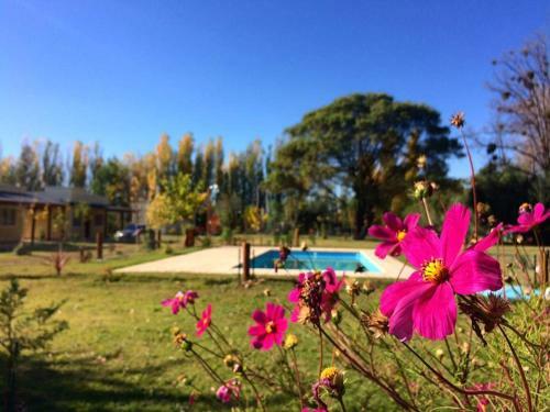 Apartamento Ayres De Cuyo