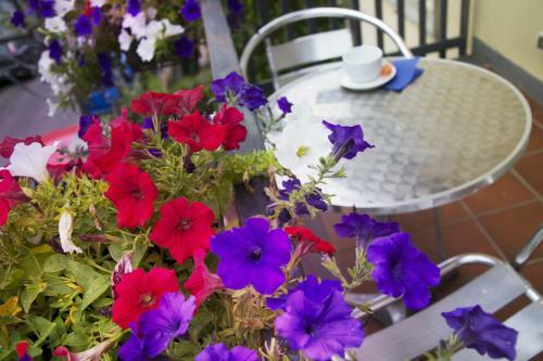 Bed & Breakfast Notti E Dintorni