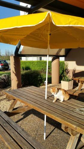 Hotelf1 Lyon Isle D'abeau Ouest St Exupery