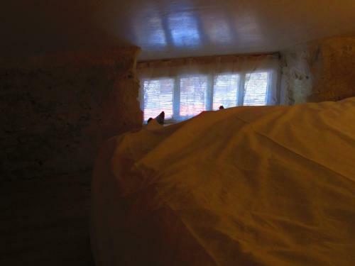 Le Poulailler De L'ile De R�