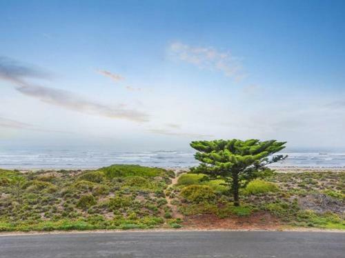 Tahren Beachfront Lodge