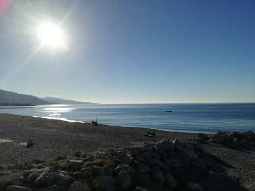 Apartment Flora