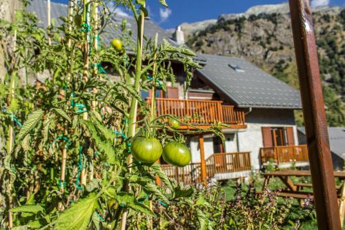 Chalet Dibona