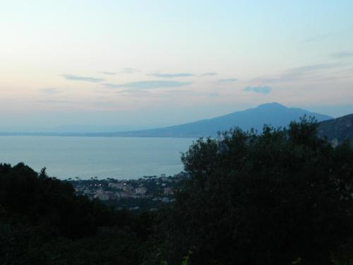 Gli Ulivi