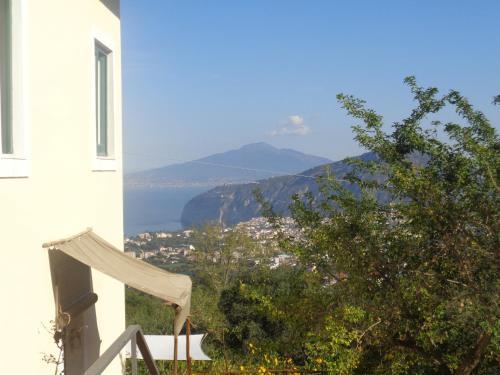 Gli Ulivi