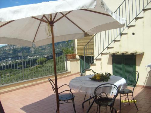 Gli Ulivi