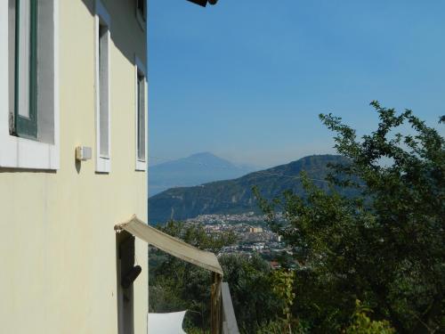 Gli Ulivi