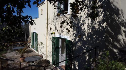 Gli Ulivi