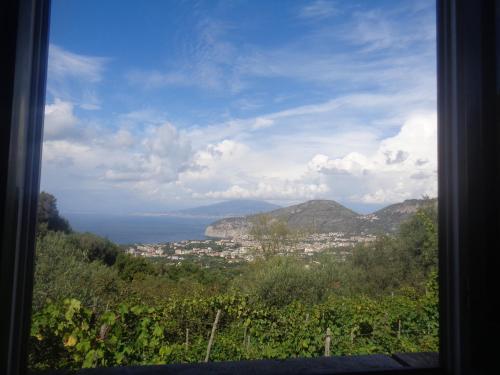 Gli Ulivi