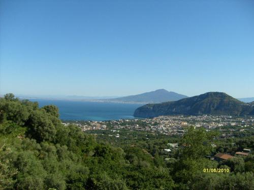 Gli Ulivi