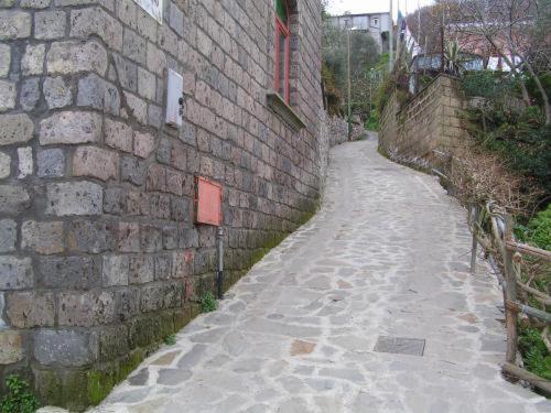 Gli Ulivi