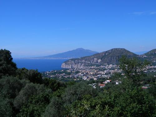 Gli Ulivi