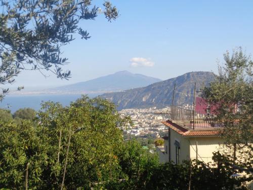Gli Ulivi