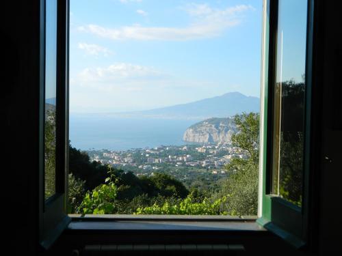 Gli Ulivi