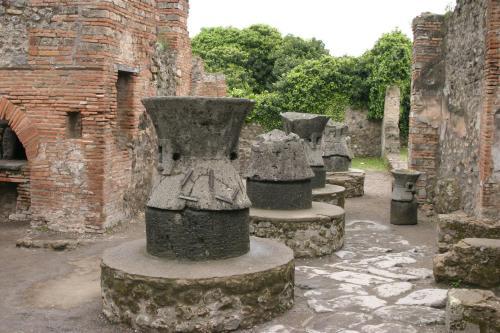 Gli Ulivi