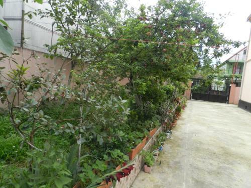 Hostal Tigran Guest House