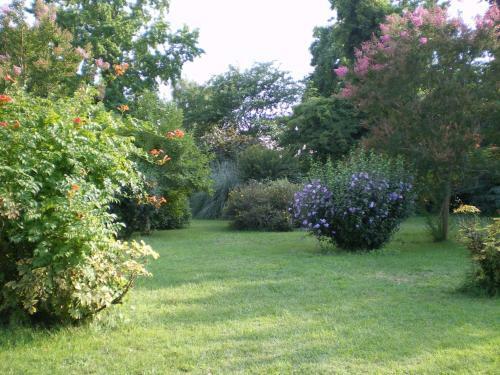 Hostal Chambres D'h�tes Le Chardon Fleuri