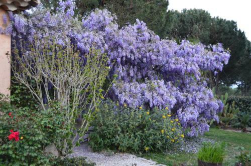 Bed & Breakfast Les Glycines